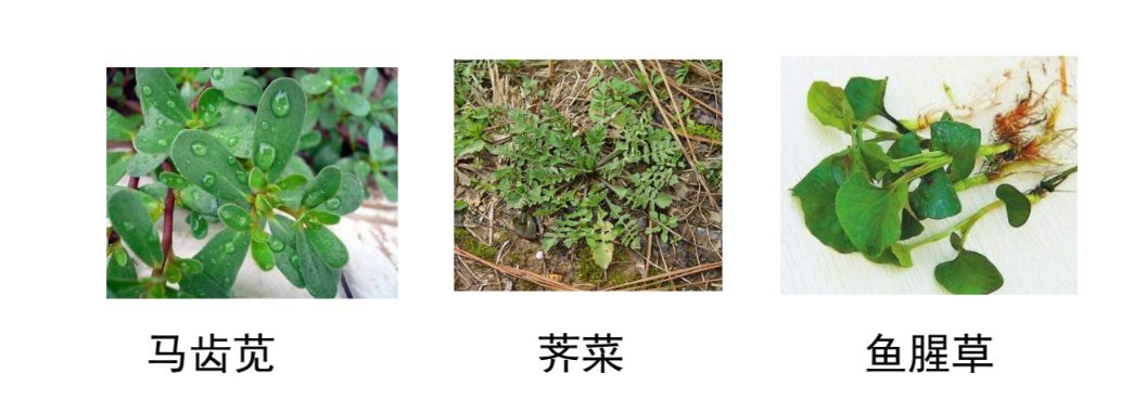 兵哥哥教你防身术,兵哥哥教你归纳小妙招