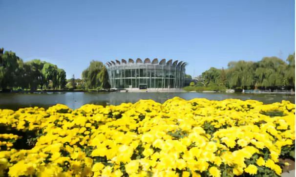 涓板彴閲戠鏂囧寲鏃呮父鏀荤暐,閲戠涓板彴璧忕帺鏀荤暐鍑虹倝