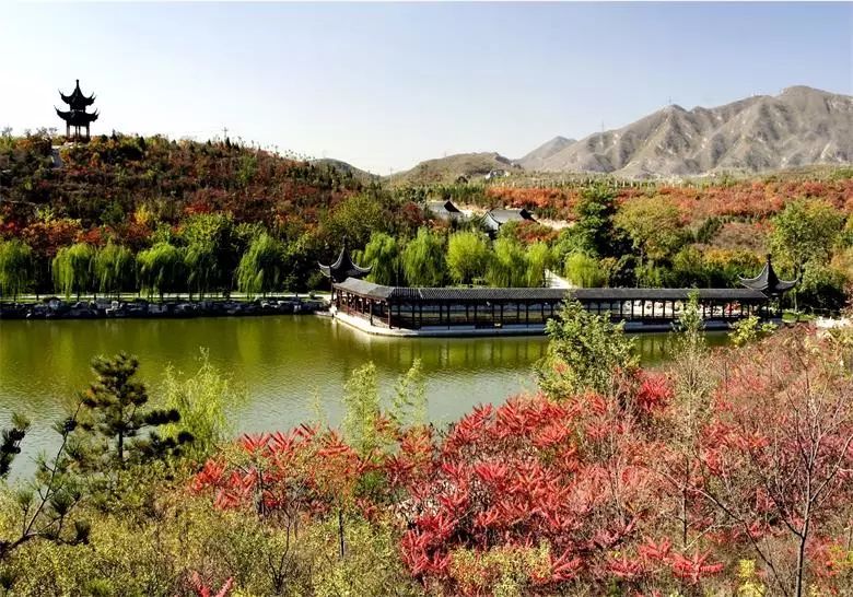 涓板彴閲戠鏂囧寲鏃呮父鏀荤暐,閲戠涓板彴璧忕帺鏀荤暐鍑虹倝