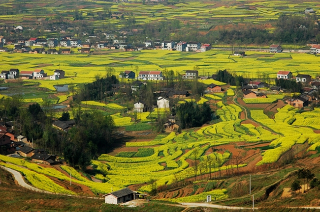 壮丽70年奋进新时代资料,壮丽70年的伟大变化