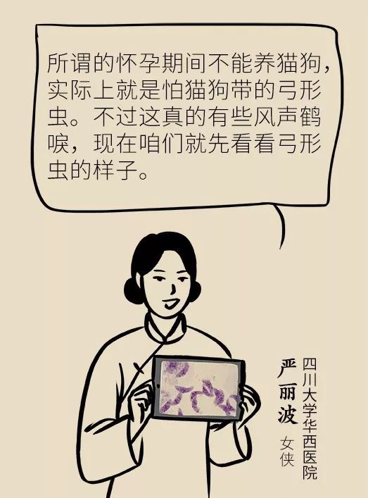 怀孕了家里有猫狗还可以继续养吗,家里一直有猫狗怀孕了怎么办