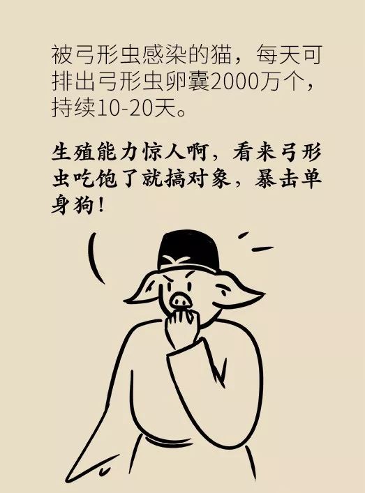 怀孕了家里有猫狗还可以继续养吗,家里一直有猫狗怀孕了怎么办