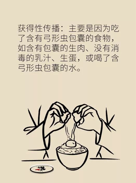 怀孕了家里有猫狗还可以继续养吗,家里一直有猫狗怀孕了怎么办