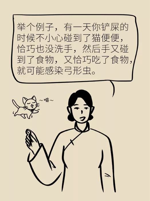 怀孕了家里有猫狗还可以继续养吗,家里一直有猫狗怀孕了怎么办