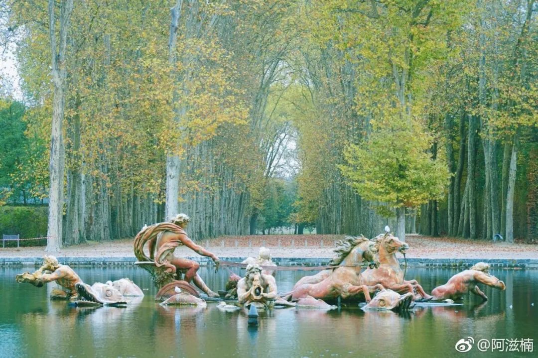 从书中读懂生活感悟,从读万卷书行万里路得到的启发