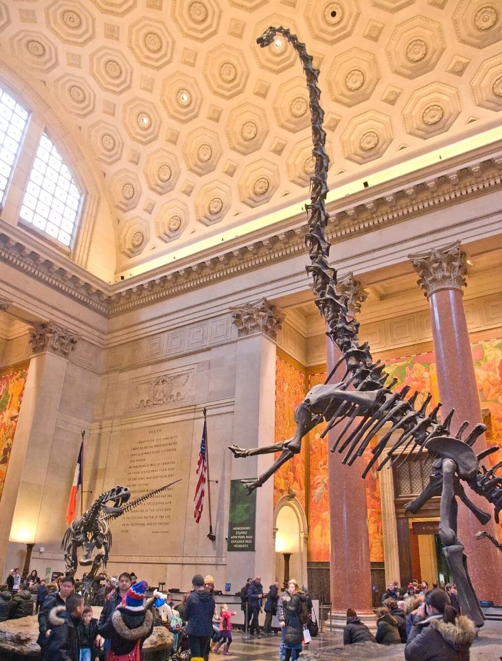 从书中读懂生活感悟,从读万卷书行万里路得到的启发