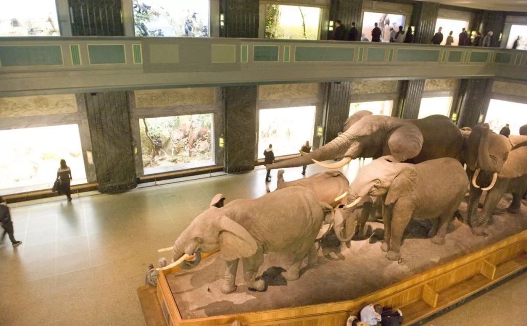 从书中读懂生活感悟,从读万卷书行万里路得到的启发