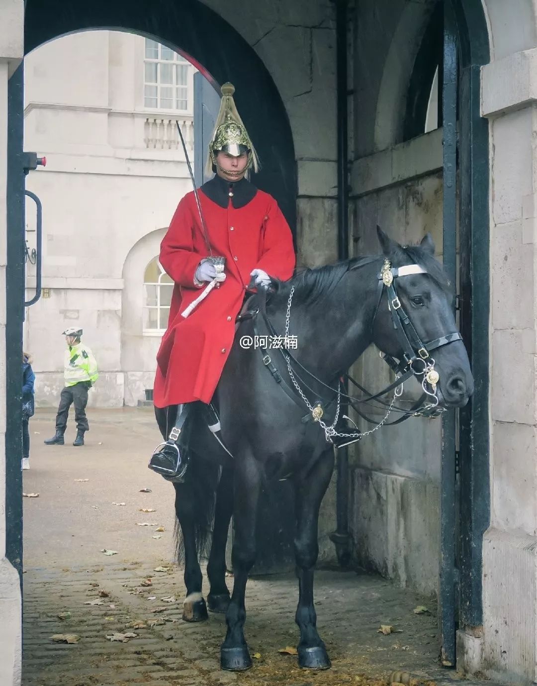 从书中读懂生活感悟,从读万卷书行万里路得到的启发