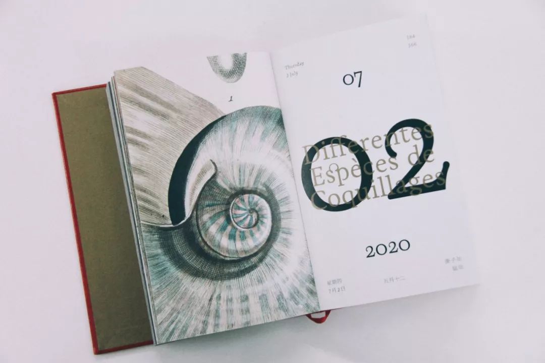 从书中读懂生活感悟,从读万卷书行万里路得到的启发