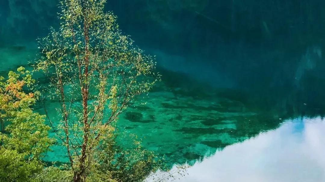 九寨沟恢复开园,九寨沟恢复迎客首游现场直播