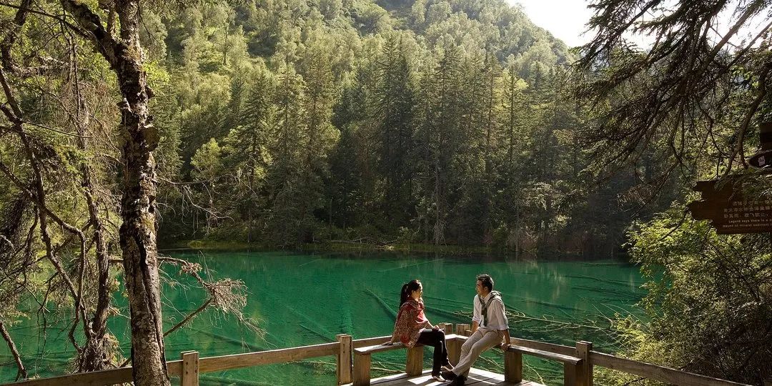 九寨沟恢复开园,九寨沟恢复迎客首游现场直播