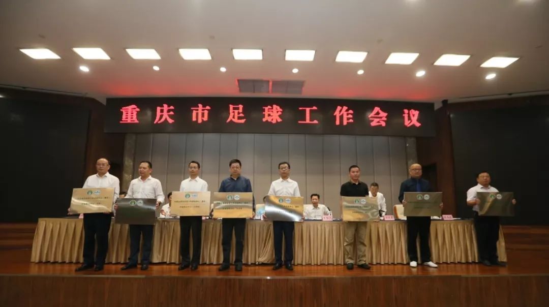 重庆两江专用足球场,重庆两江新区足球场