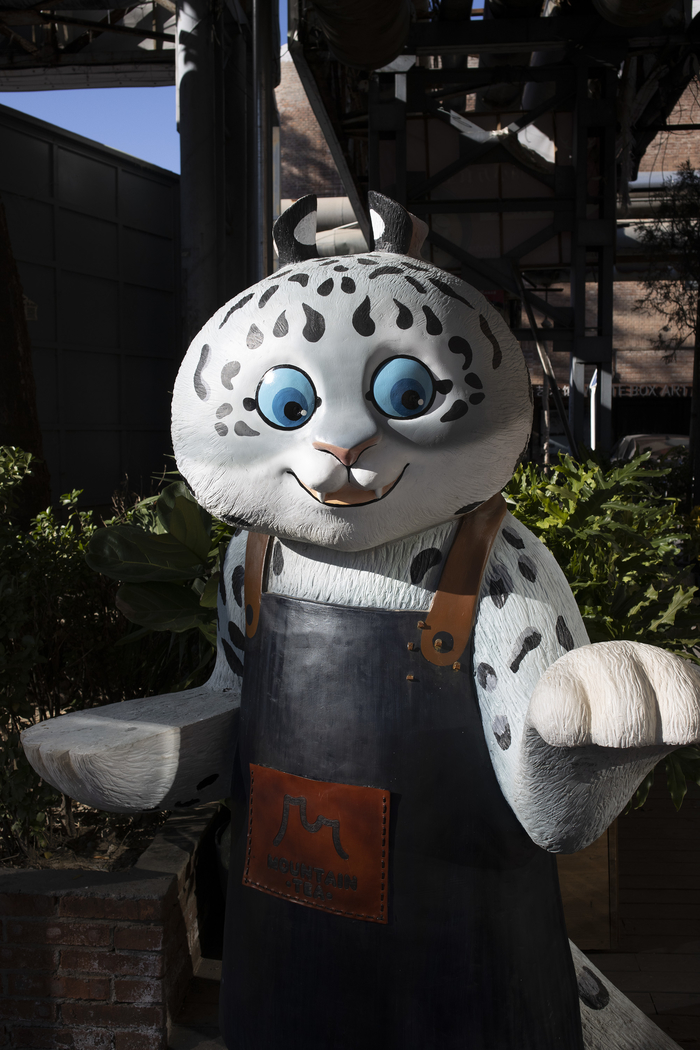 佳能eosm6mark2参数调节,佳能vlog神器v10