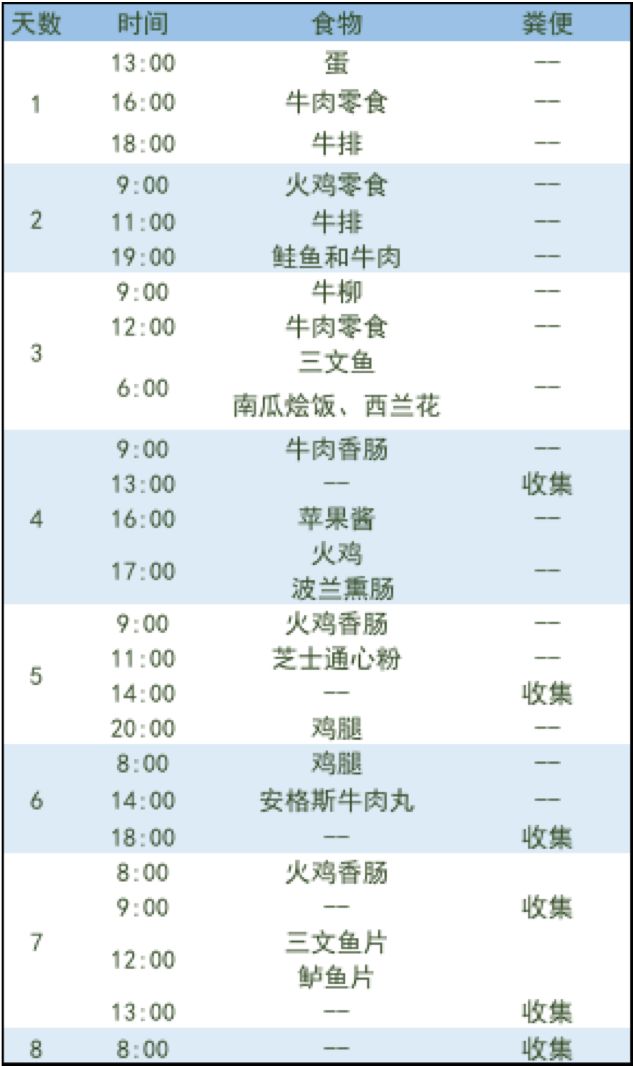 冰冻的粑粑可以直接烤吗,冻的粑粑可以直接煎吗