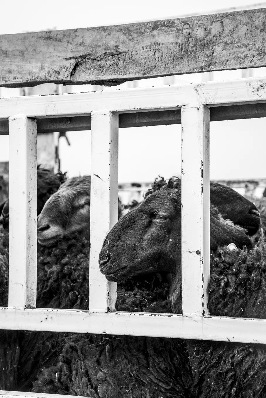 选好出行路线,选日期出行