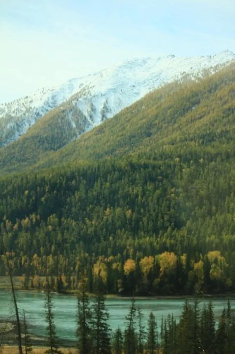 选好出行路线,选日期出行