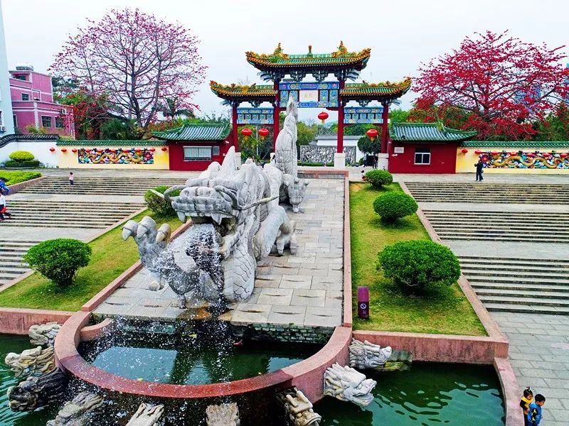 我与祖国共成长丨与龙岗合影，祝福我们亲爱的阿中哥~