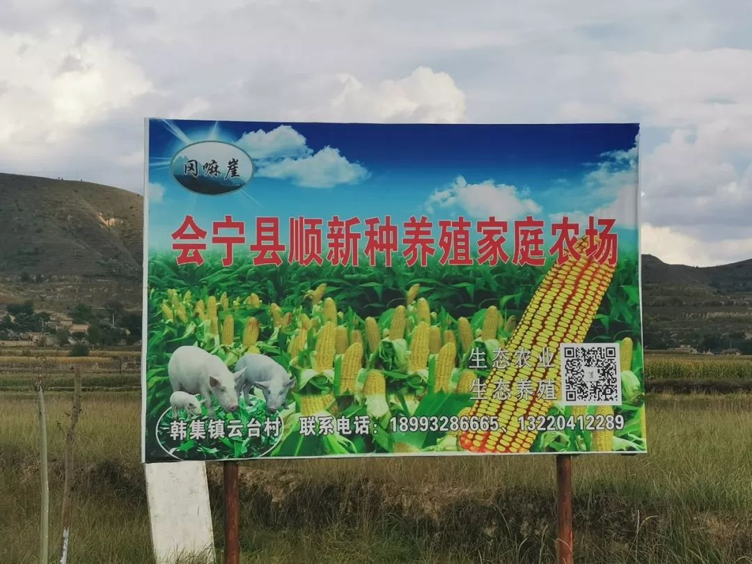 爱国情奋斗者,爱国情奋斗者人物事迹