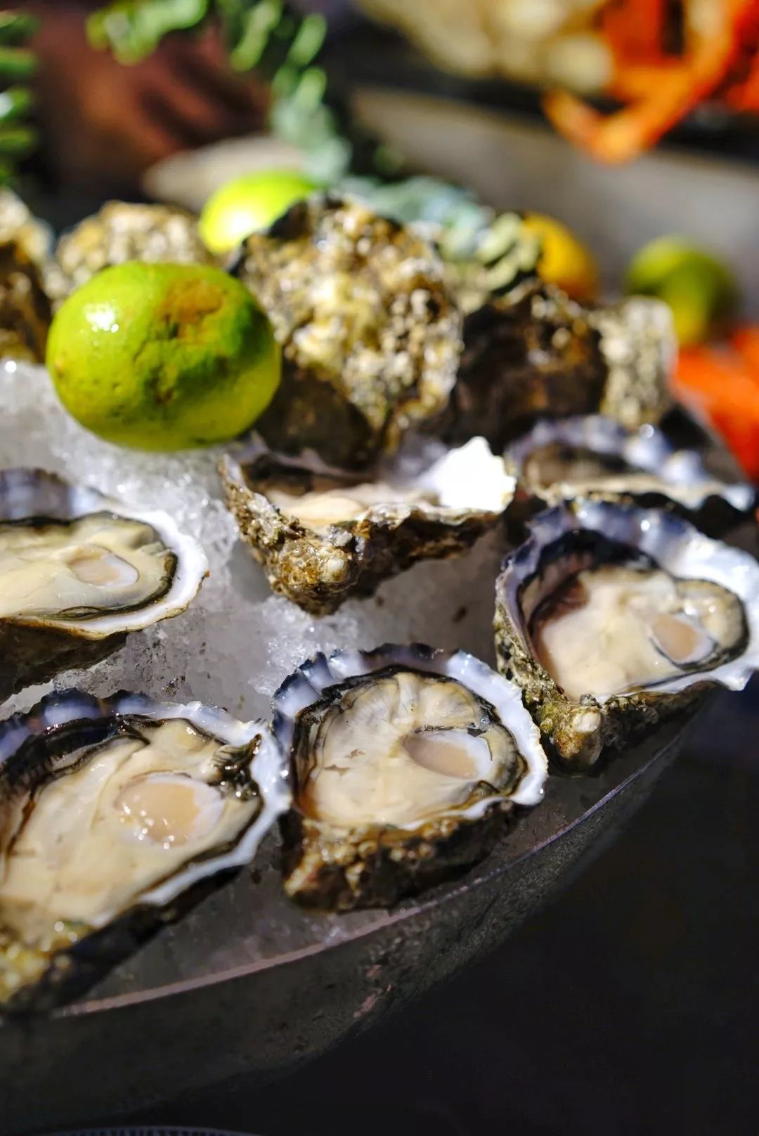 深圳湾五星级酒店推荐,深圳湾小众酒店