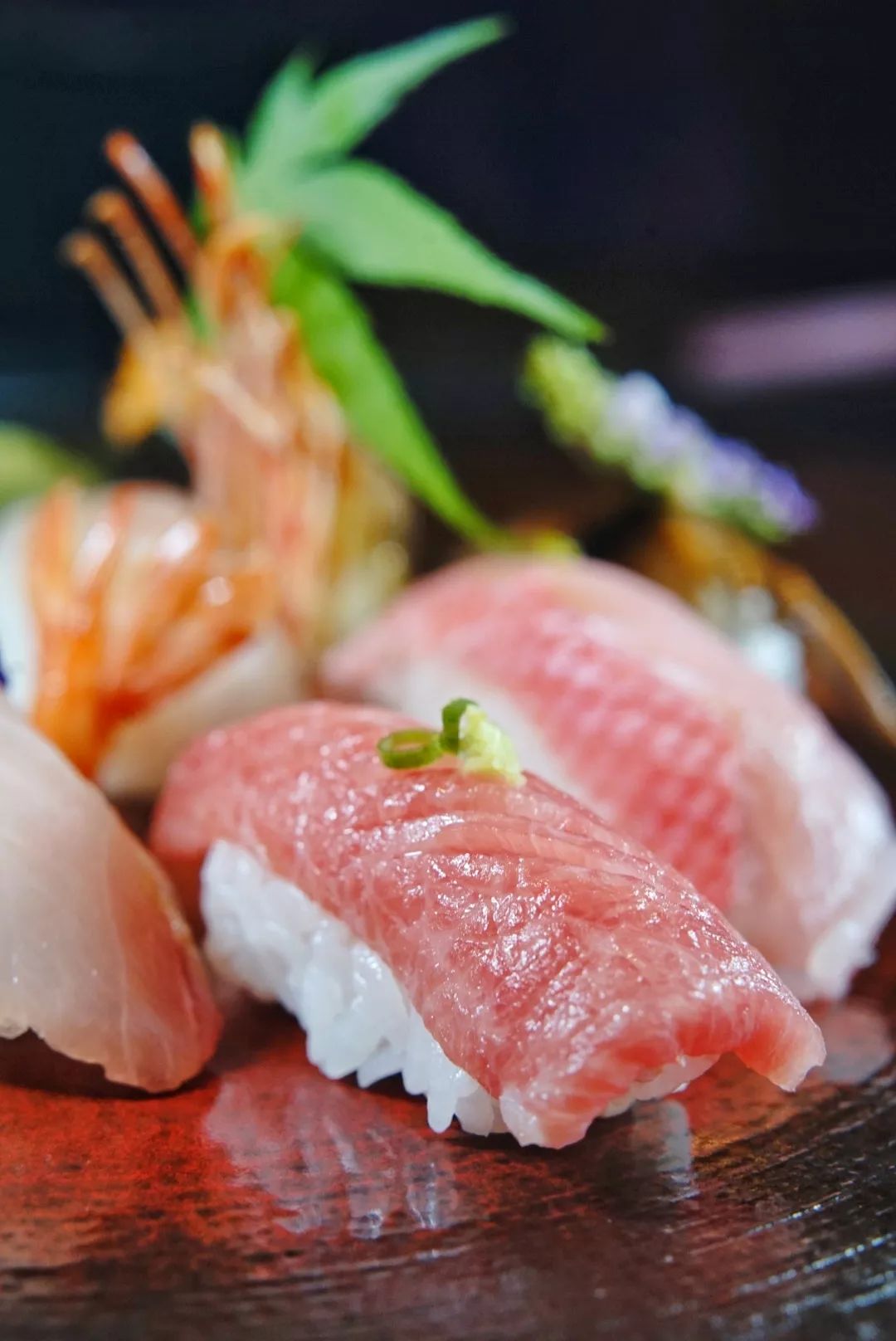 深圳湾五星级酒店推荐,深圳湾小众酒店