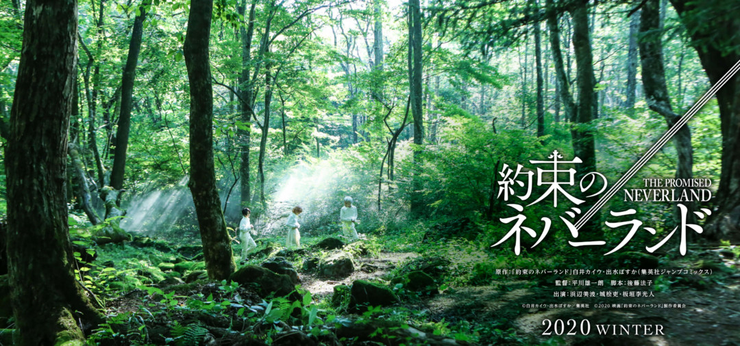 想成为英雄-Anitama新闻汇总