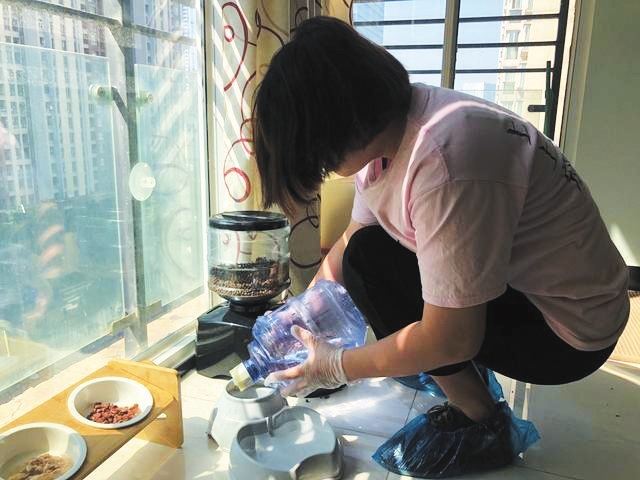 猫咪暑假上门喂养可以吗,上门喂养猫咪在哪里接单