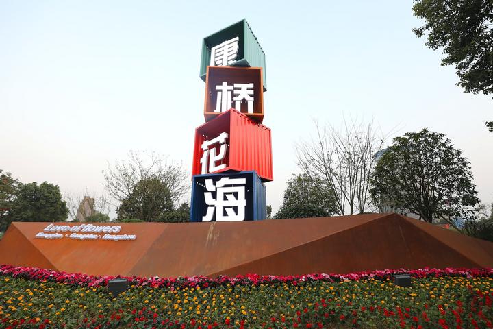 太金贵了钱塘百亩花海惊艳绽放,杭州千亩花海惊艳亮相