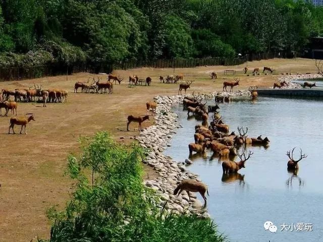 北京必去12个地方旅游攻略,北京小众省时游玩攻略