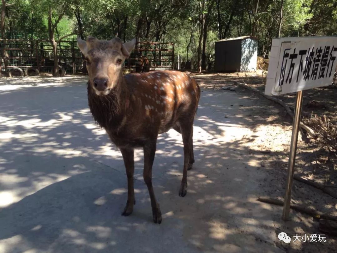北京必去12个地方旅游攻略,北京小众省时游玩攻略