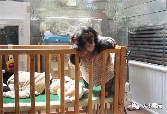 北京必去12个地方旅游攻略,北京小众省时游玩攻略