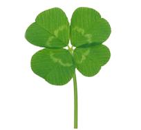 红色基因代代相传！周恩来红军小学千名红军娃集体入队