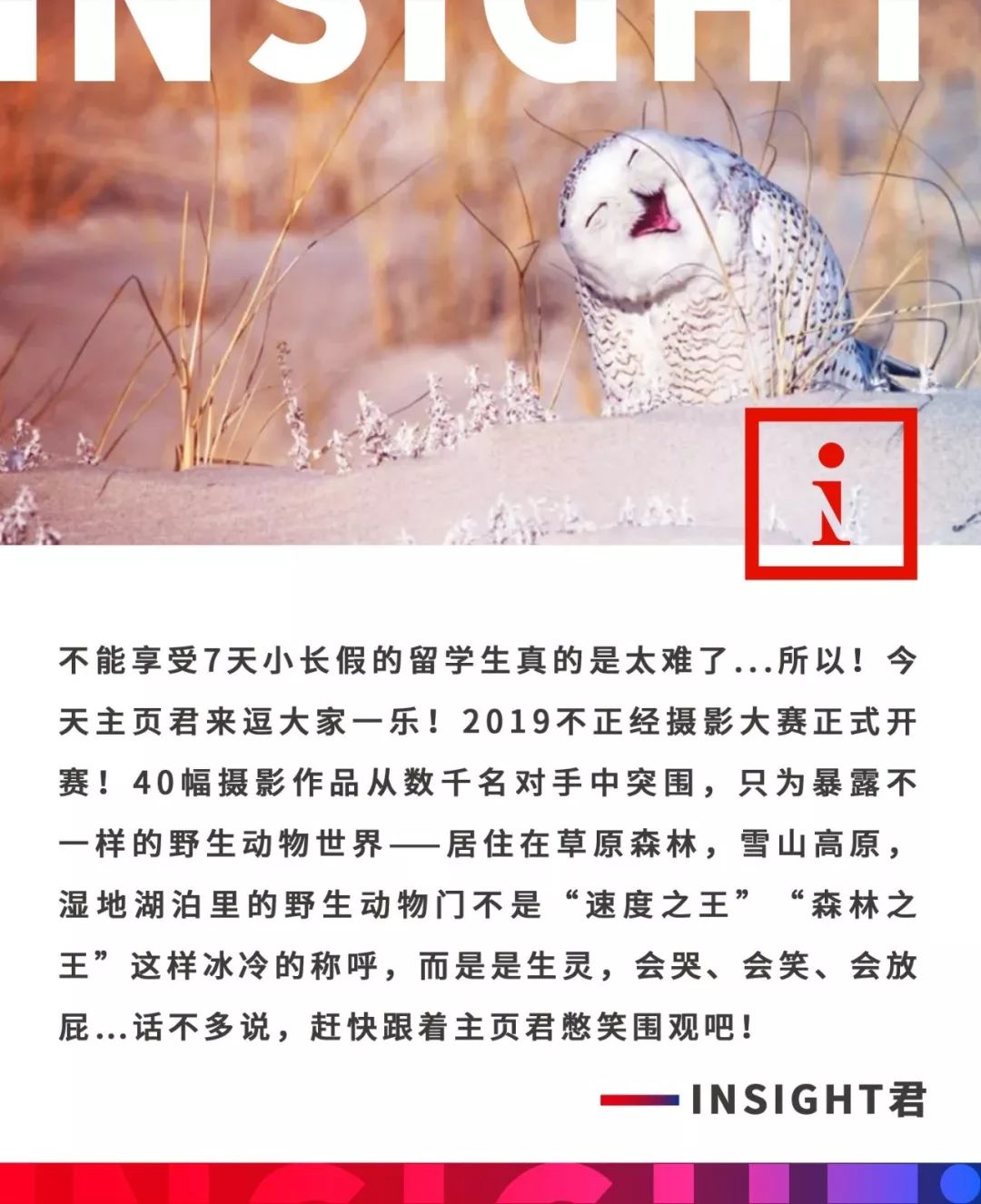 2019不正经摄影大赛引全网爆笑！40张动物黑历史被6万网友制成表情包....