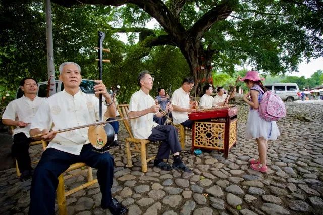 永定土楼柿子攻略,福建永定柿子节云端庆丰收