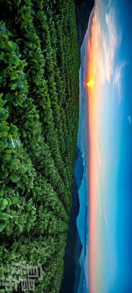 盛夏！好多宜昌人都在拍她