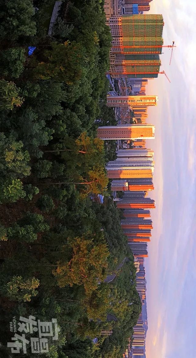 盛夏！好多宜昌人都在拍她