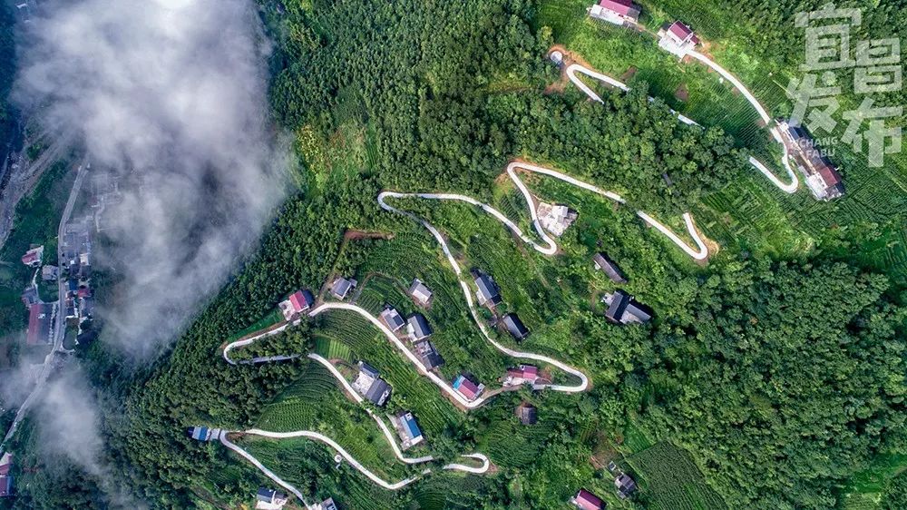 盛夏！好多宜昌人都在拍她