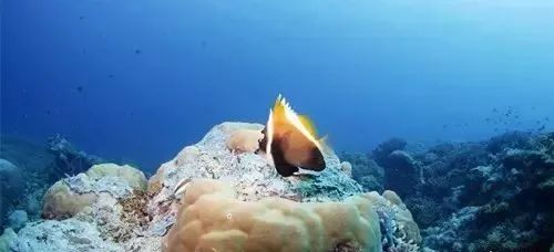 海缸旅游攻略大全,海边怎么玩海缸