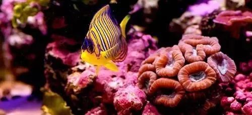 海缸旅游攻略大全,海边怎么玩海缸