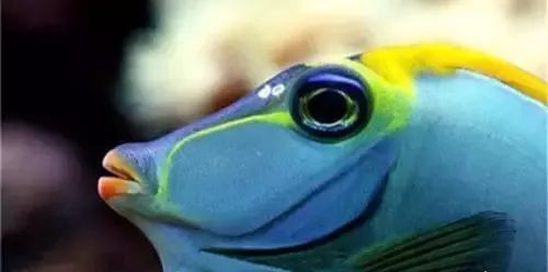 海缸旅游攻略大全,海边怎么玩海缸