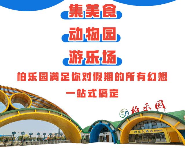 柏乐园附近美食,柏乐园有没有美食