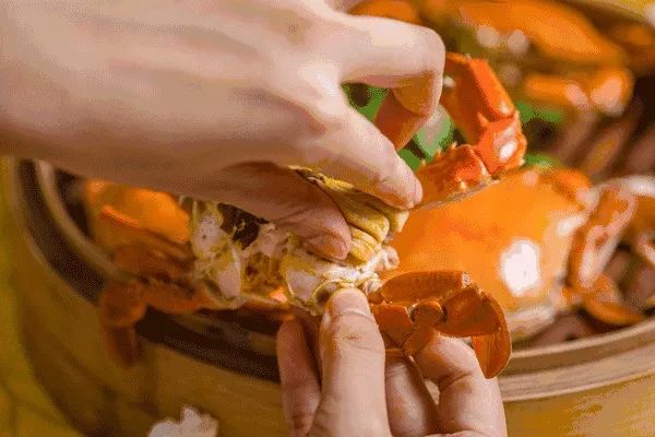 柏乐园附近美食,柏乐园有没有美食