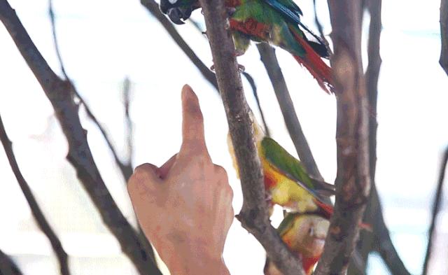 柏乐园附近美食,柏乐园有没有美食