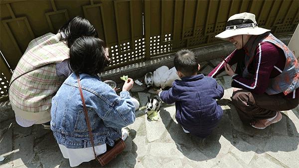 柏乐园附近美食,柏乐园有没有美食
