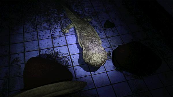 柏乐园附近美食,柏乐园有没有美食