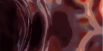 地表Zui强！暴雨蹦迪从不湿还巨暖和！比2个鸡蛋还轻，走8小时一点都不累