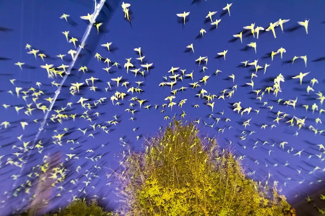 怎样在朋友圈晒自己的美照,假期出游美照秘诀