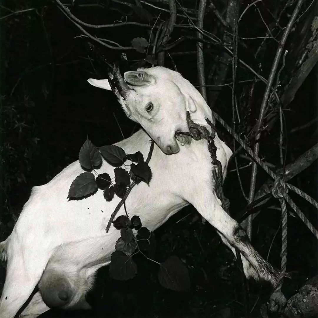 怎样在朋友圈晒自己的美照,假期出游美照秘诀