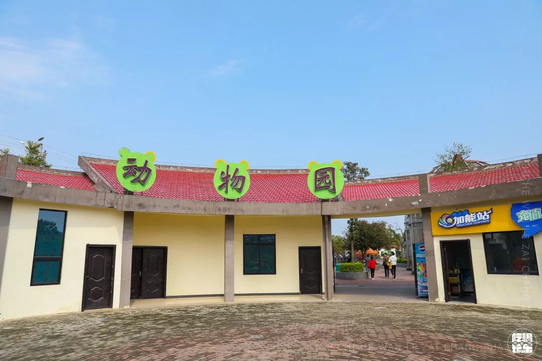 柏乐园附近美食,柏乐园有没有美食