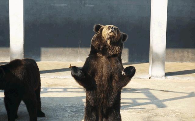 柏乐园附近美食,柏乐园有没有美食