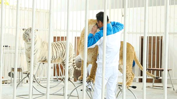 柏乐园附近美食,柏乐园有没有美食